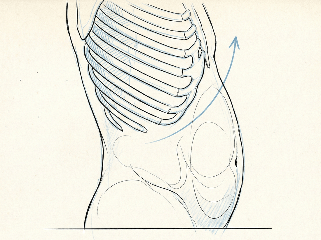 The "Rib Flare" Test: Look in the Mirror. Are Your Ribs Crushing Your Core? - Nevafet