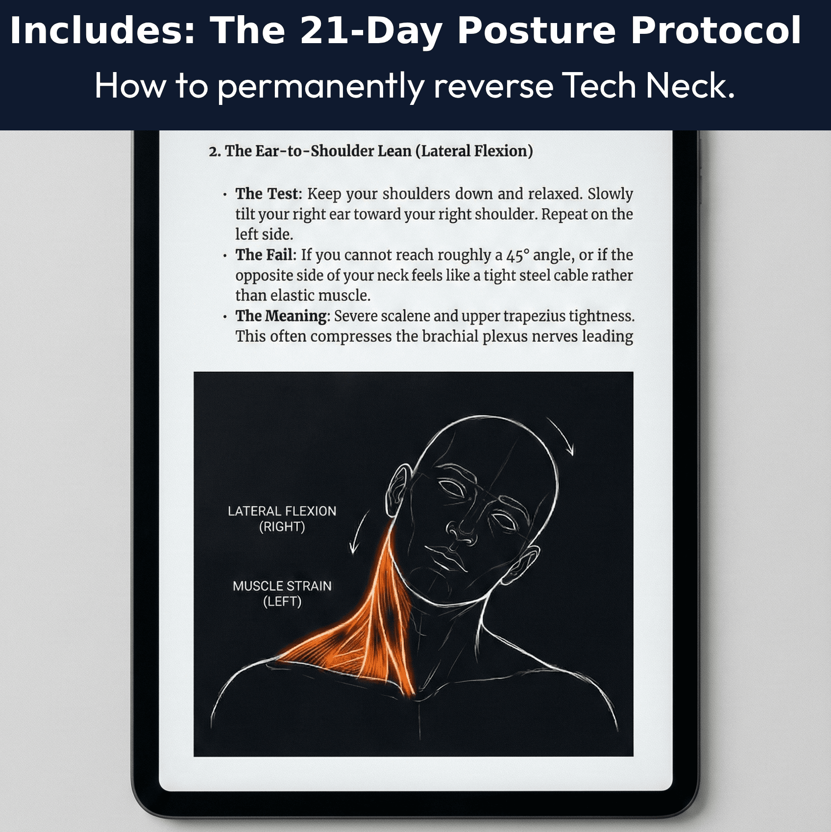The Cervical Cloud - Nevafet
