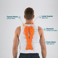 The Complete Posture Relief Set - Nevafet